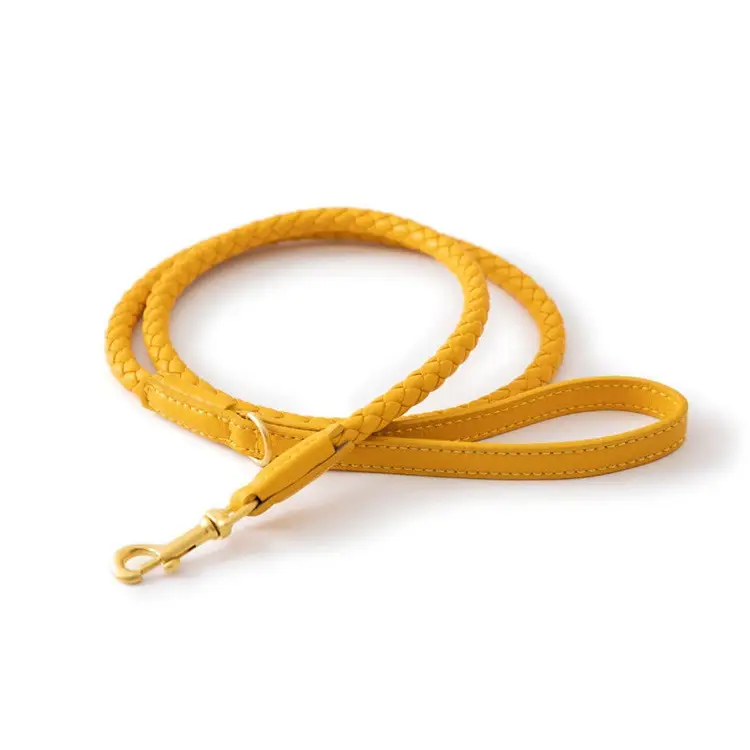 High-end Large Dog Collar Sturdy Netflix Ke Foundation Hair Pet