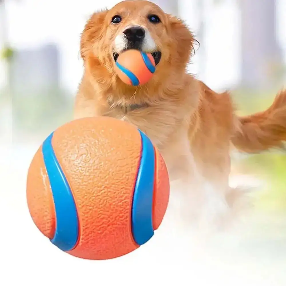 Dog Toy Ball Fetch Tough Pet Puppy