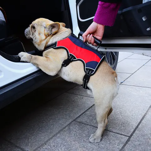 Pet Hand Holding Rope Vest Tactical Big Dog Chest