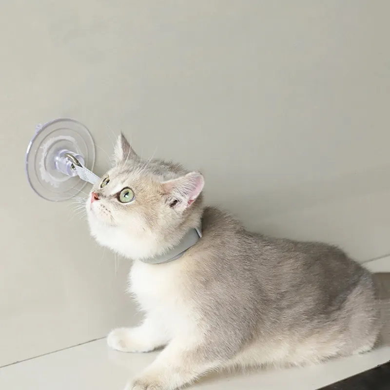 Cats Collar Bathing Fixed Suction Cup Puppy