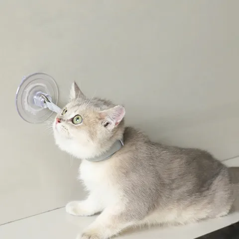 Cats Collar Bathing Fixed Suction Cup Puppy Bath Neck