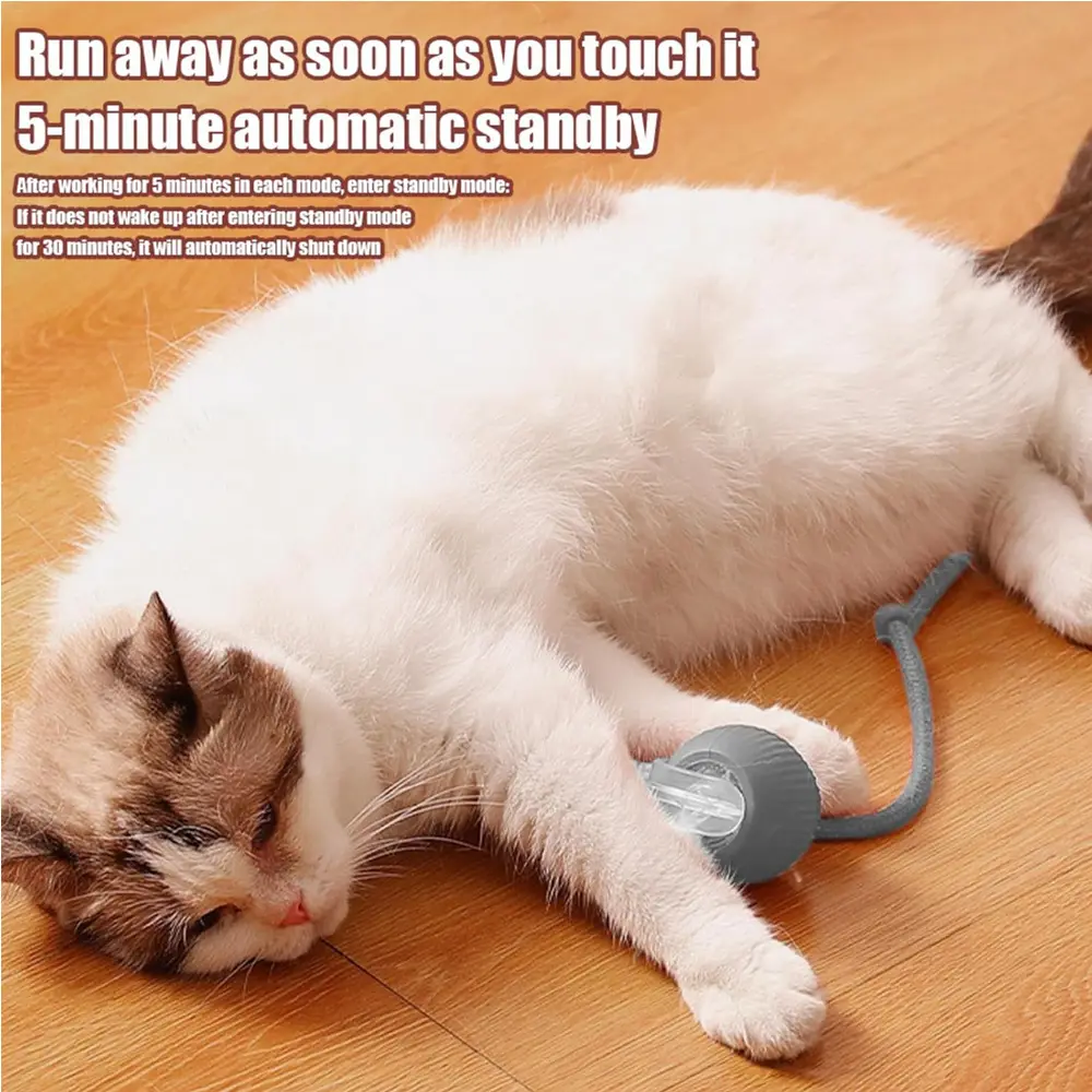 Interactive Rolling Cat Ball
