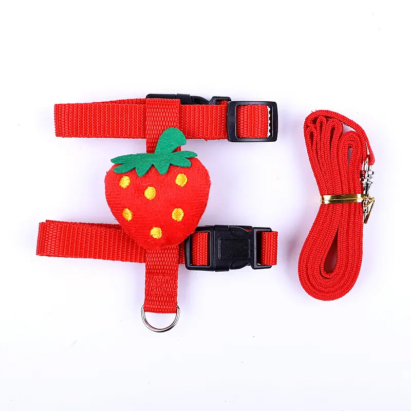 Small Pet Traction Rope And Harness