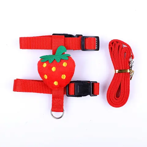 Small Pet Traction Rope and Harness