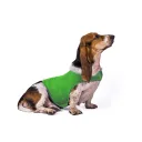 Fluorescent Green