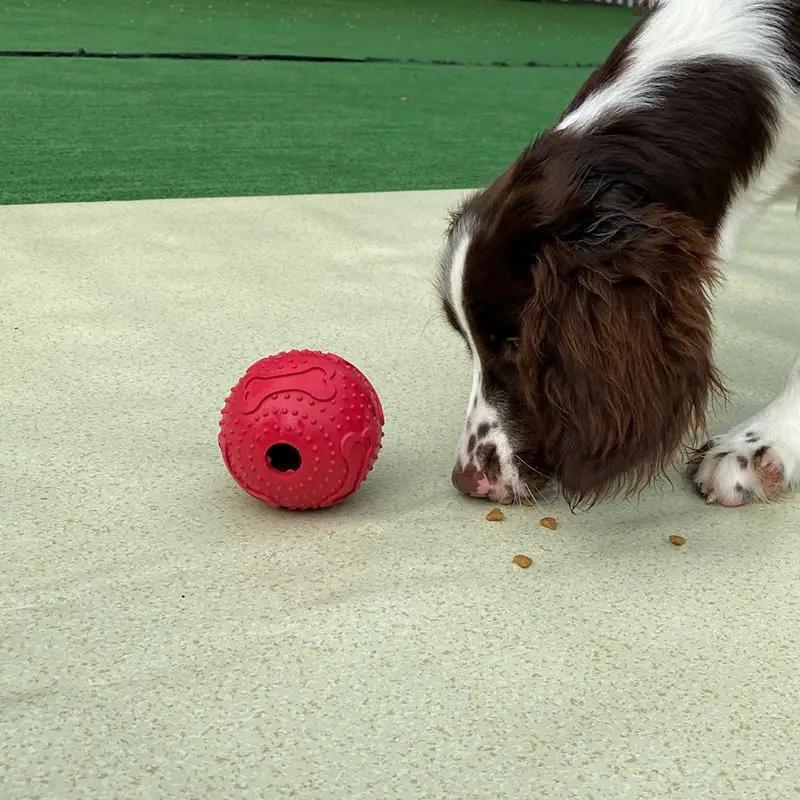 Red Feet Pet Leaking Toy
