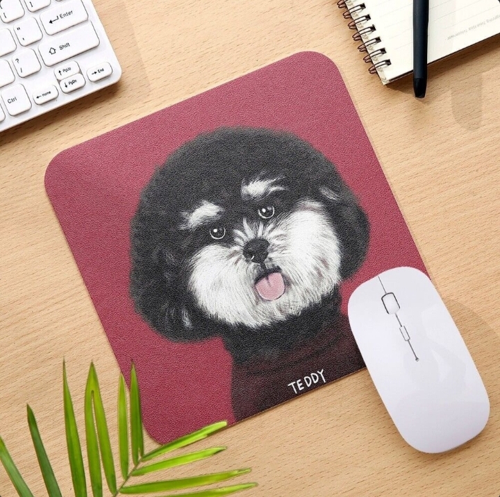 Sleek Portable Silent Click Mouse Ergonomic Wireless Optical Mouse