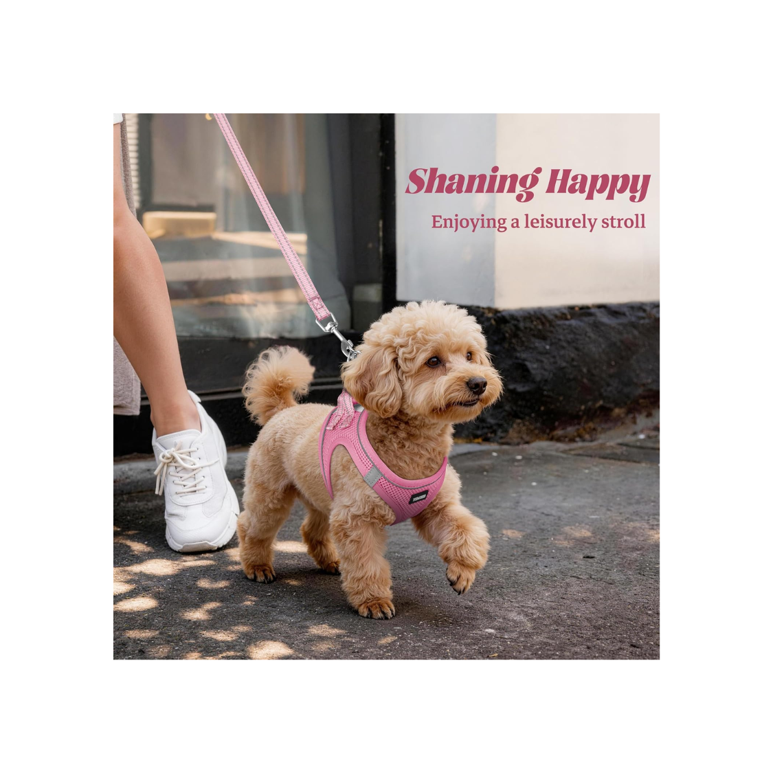 No Pull Dog Puppy Harness And Leash Set Reflective Mesh Vest — foto 3