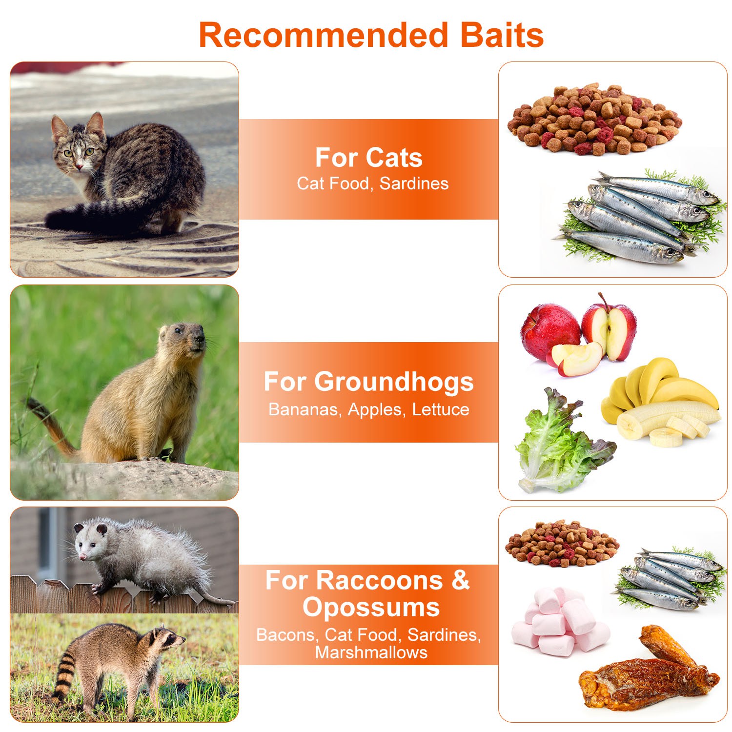 1Pc Humane Cat Trap Cage Catch Release Live Animal Rodent Cage Collapsible Galvanized Wire For Raccoons Beavers Groundhogs Foxes Armadillos Fedex Shipping — view 2