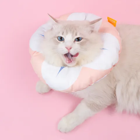 Double Sided Reversible Cat and Dog Neck Collar