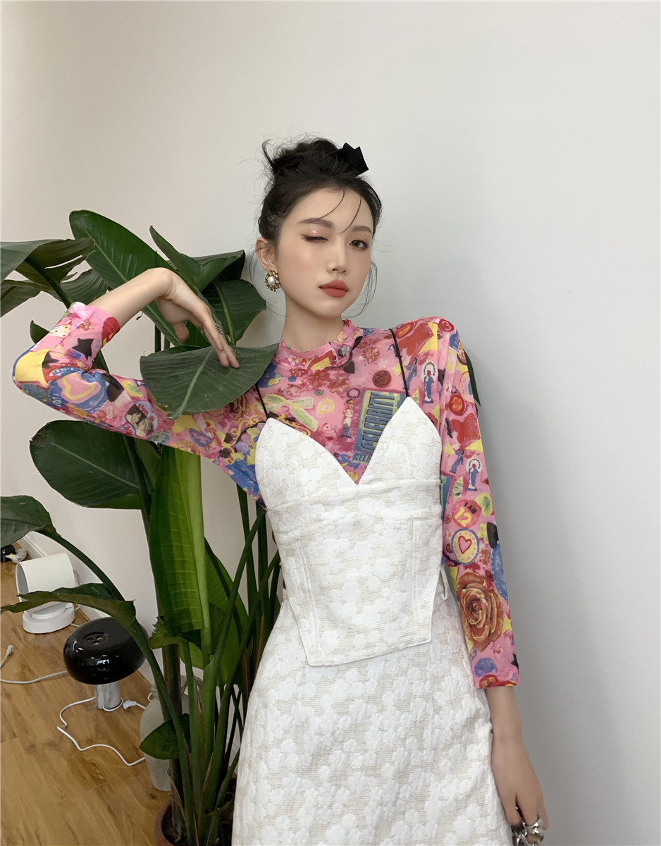 Printed Powder Thin Sheer Mesh Top