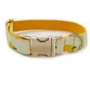 Dog Pen