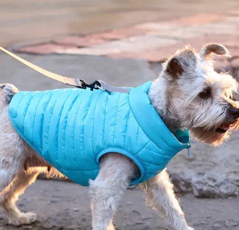 New Pet Dog Clothing Autumn and Winter Full Nylon