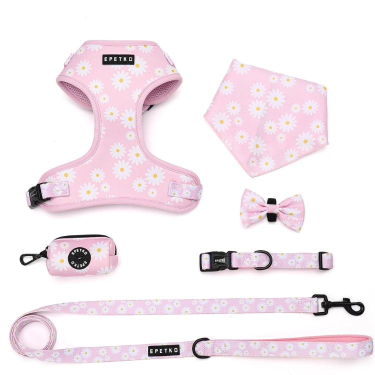 Small Dog Harness And Leash Set Of 6, No Pull Soft Lightweight Mesh Puppy Harness, Adjustable Cute Floral Pattern Pet Harness For Small Medium Dogs