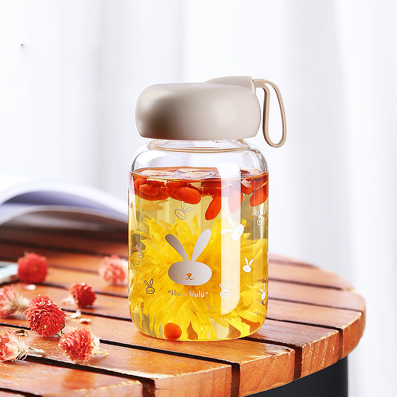 Home Portable Cute Transparent Glass Cup