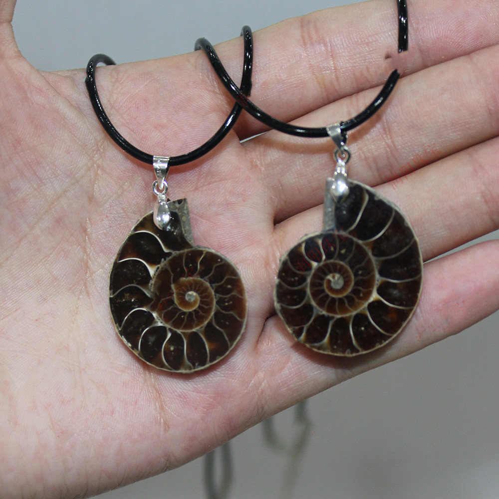 Natural Conch Fossil Pendant Necklace (One pretending.)