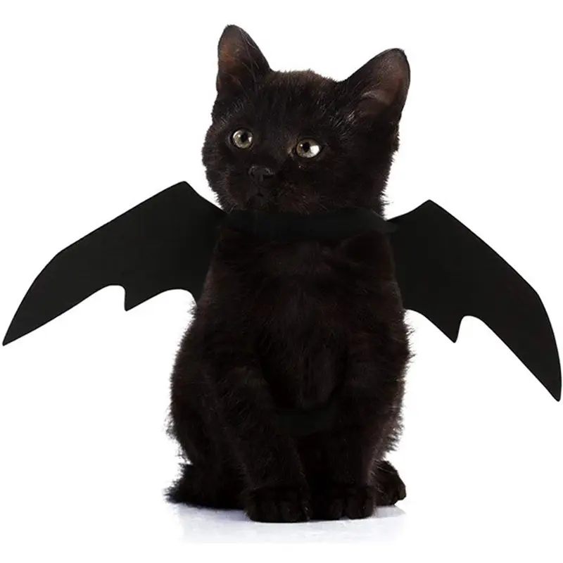 Halloween Pet Bat Wings Cat Dog