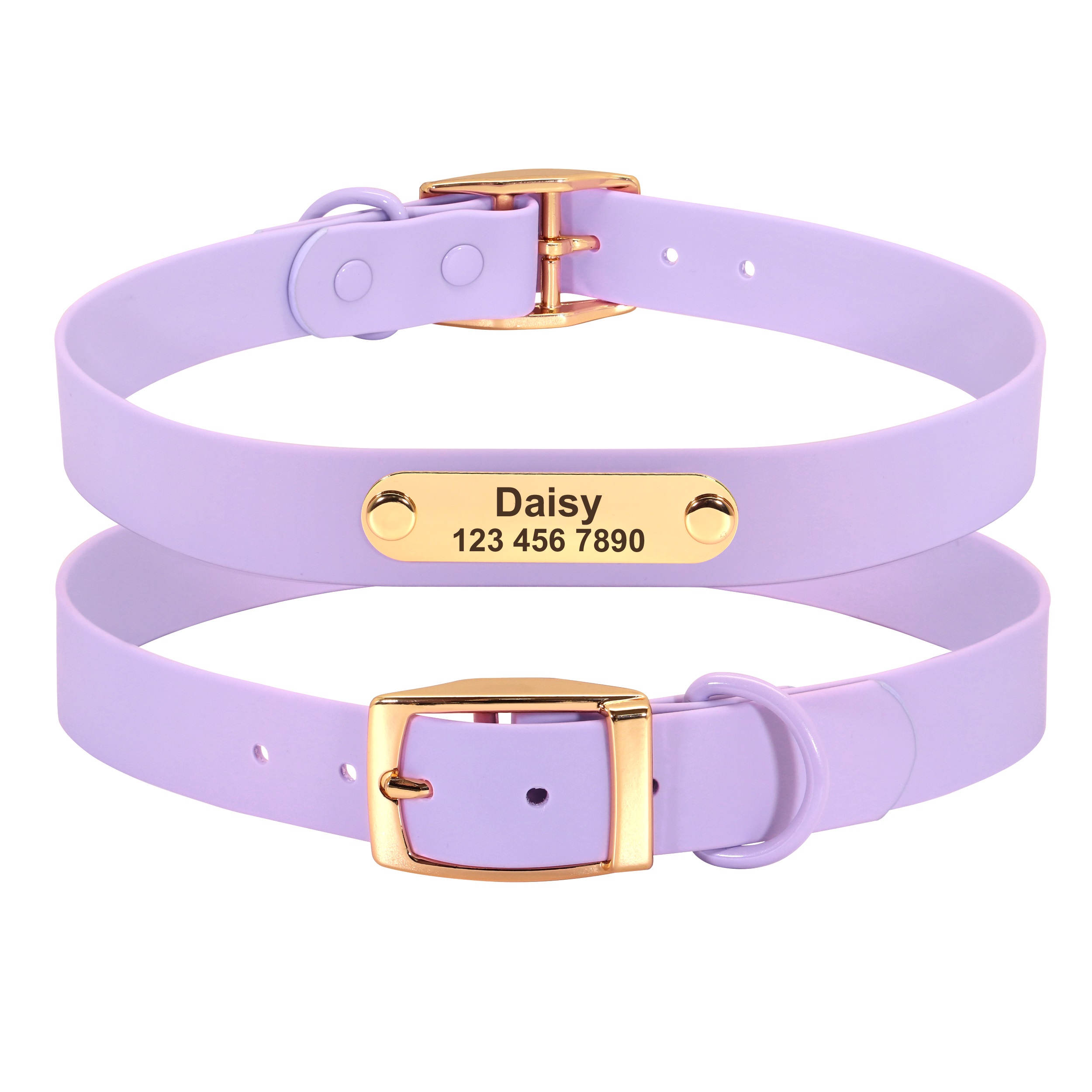 Collar Leash Medium Dog Teddy Purple - Shop at LoveMi