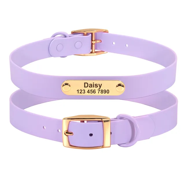 Collar Leash Medium Dog Teddy Purple - Shop at LoveMi