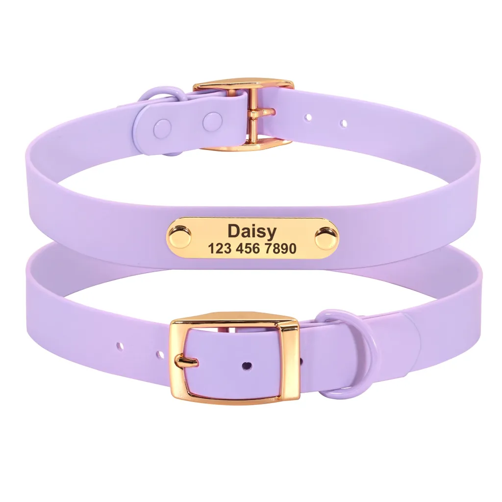 Collar Leash Medium Dog Teddy - Purple