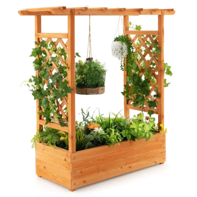 Raised Garden Bed With Trellis Or Climbing Plant And Hanging Roof Orange - Shop at LoveMi