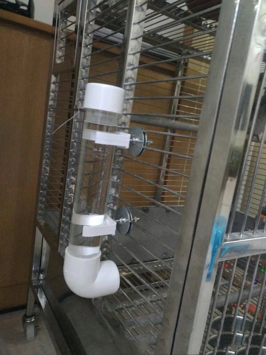 Pet parrot bird automatic drinking fountain striker type