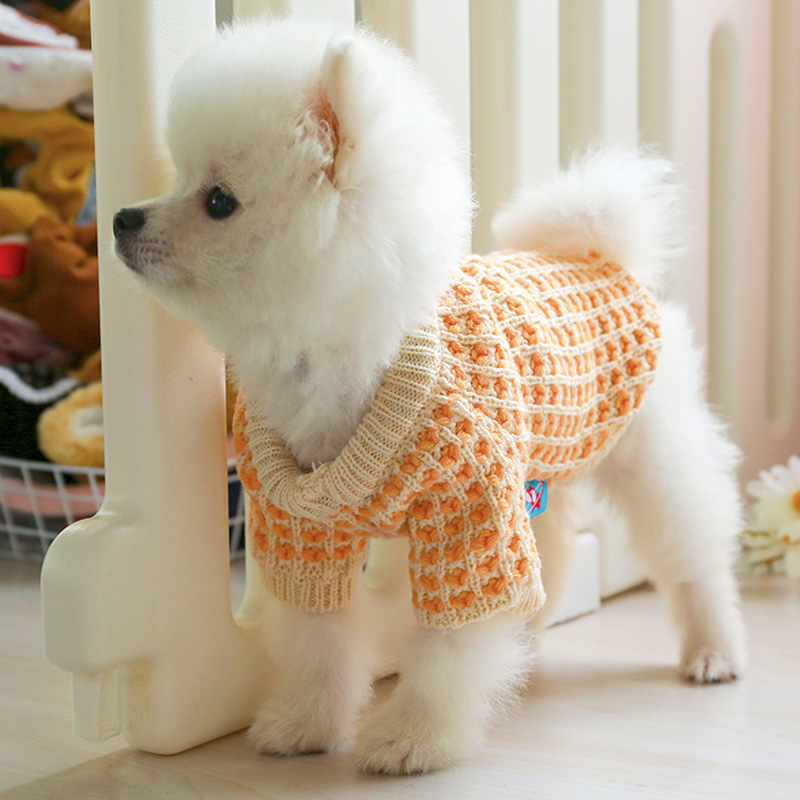 Title 6, New Style Dibi Bear Sweater for Pet Dogs and Ca...