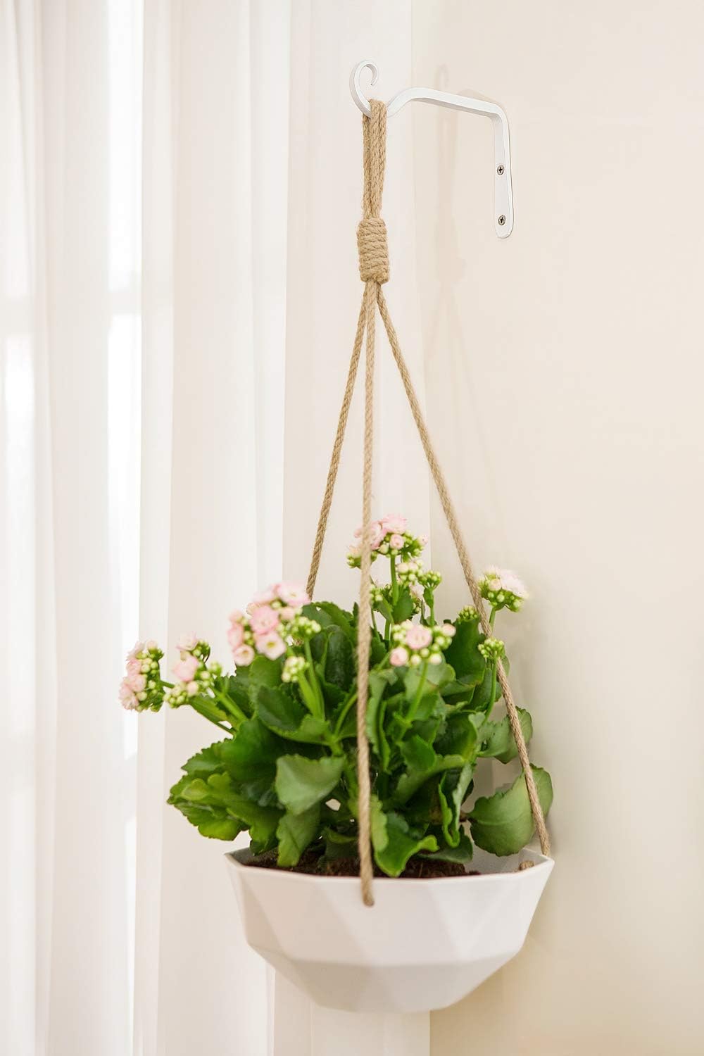 Wall Plant Hangers, 6 Inch