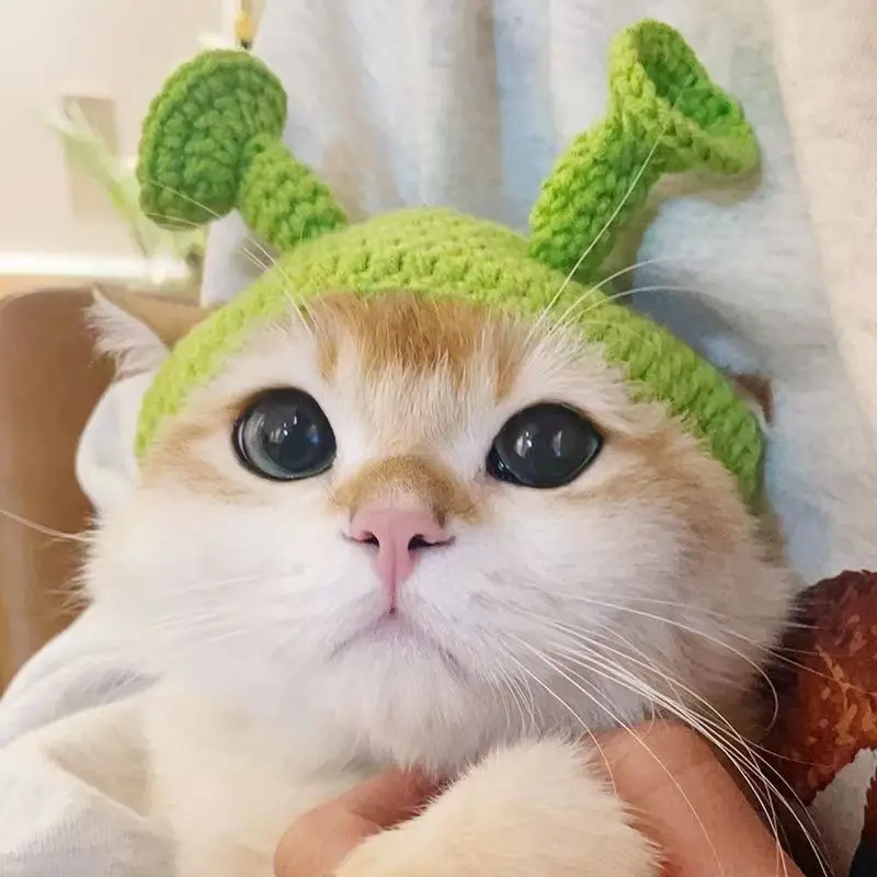Handmade Knitted Cat Dog Hat Pet Hair