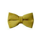 Bow Knot