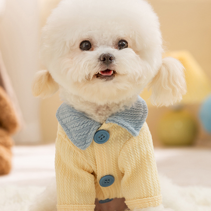Autumn And Winter Dog, Small And Medium-sized Dog, Cute Puppy, Color-block Base Shirt, Cat Two-legged Shirt, Teddy Pet Dog Clothes