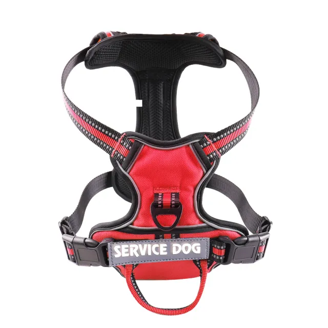 Oxford Cloth Strap Personalized Dog Back Red - Shop at LoveMi