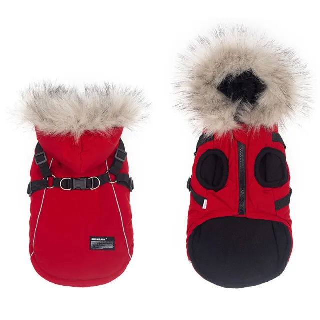 The New Teddy Bichon Pet Cotton Coat Autumn And Winter Clothes Can Be Towed Red - Shop at LoveMi