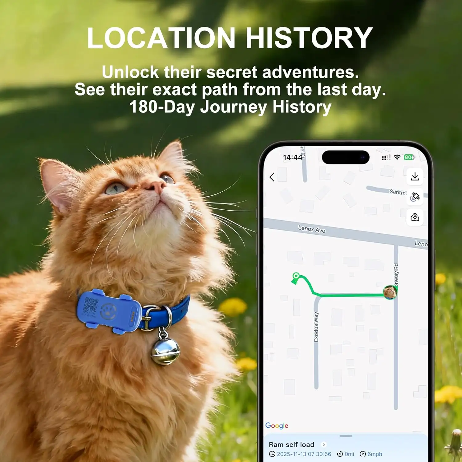 Dog GPS Tracker Real Time, Anti-Lost Pet