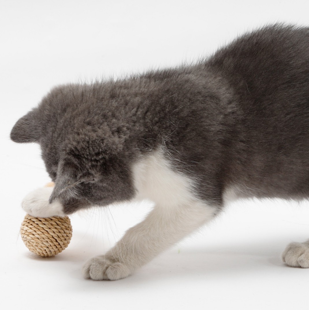 Title 2, Jouet amusant pour chat Rattan Bell Ball Feathe...