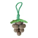 Gall Fruit