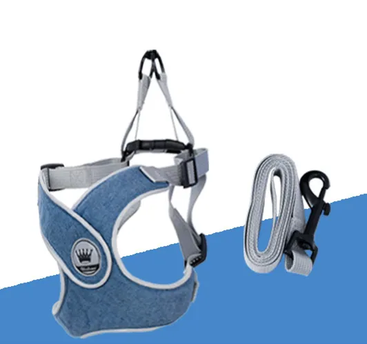 Dog Harness Adjustable Pet Harness Vest For Small Large Dog Cat Reflective Mesh Puppy Cat Chest Strap Dog Accessories Blue - Shop at LoveMi