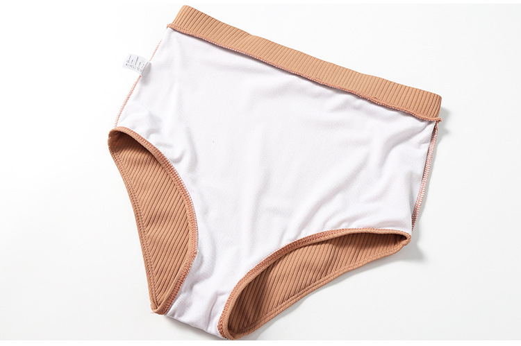 Hot Spring Style Solid Color Simple High Waist Cover Belly Thin Split Swimsuit