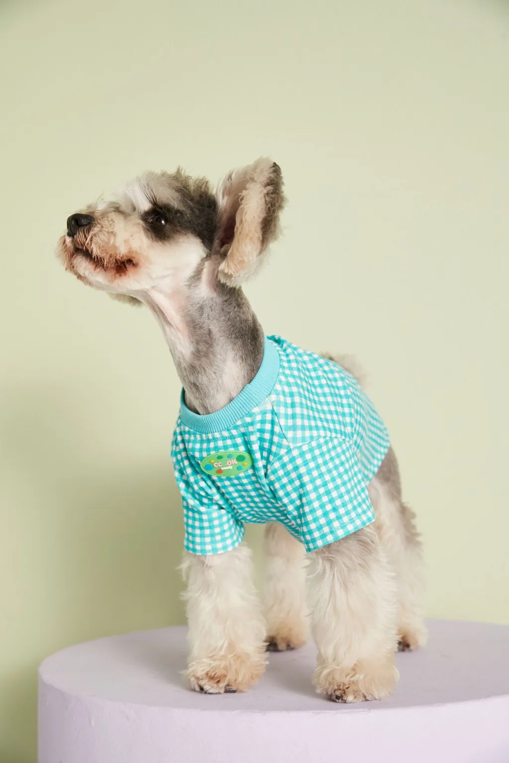 Summer Thin Candy Color Plaid T-Shirt Teddy - Blue