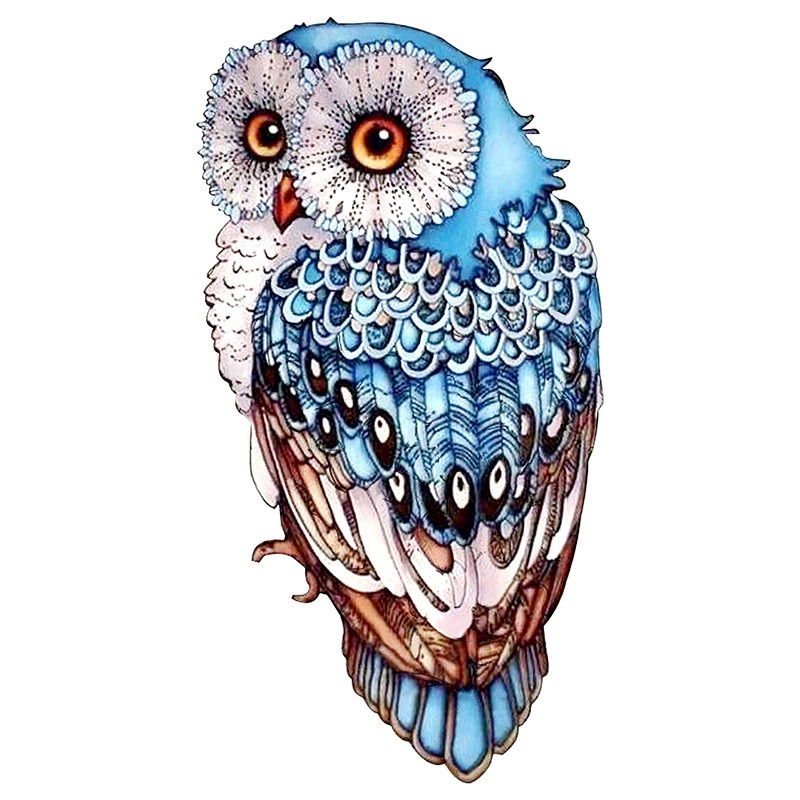 Blue Owl A3