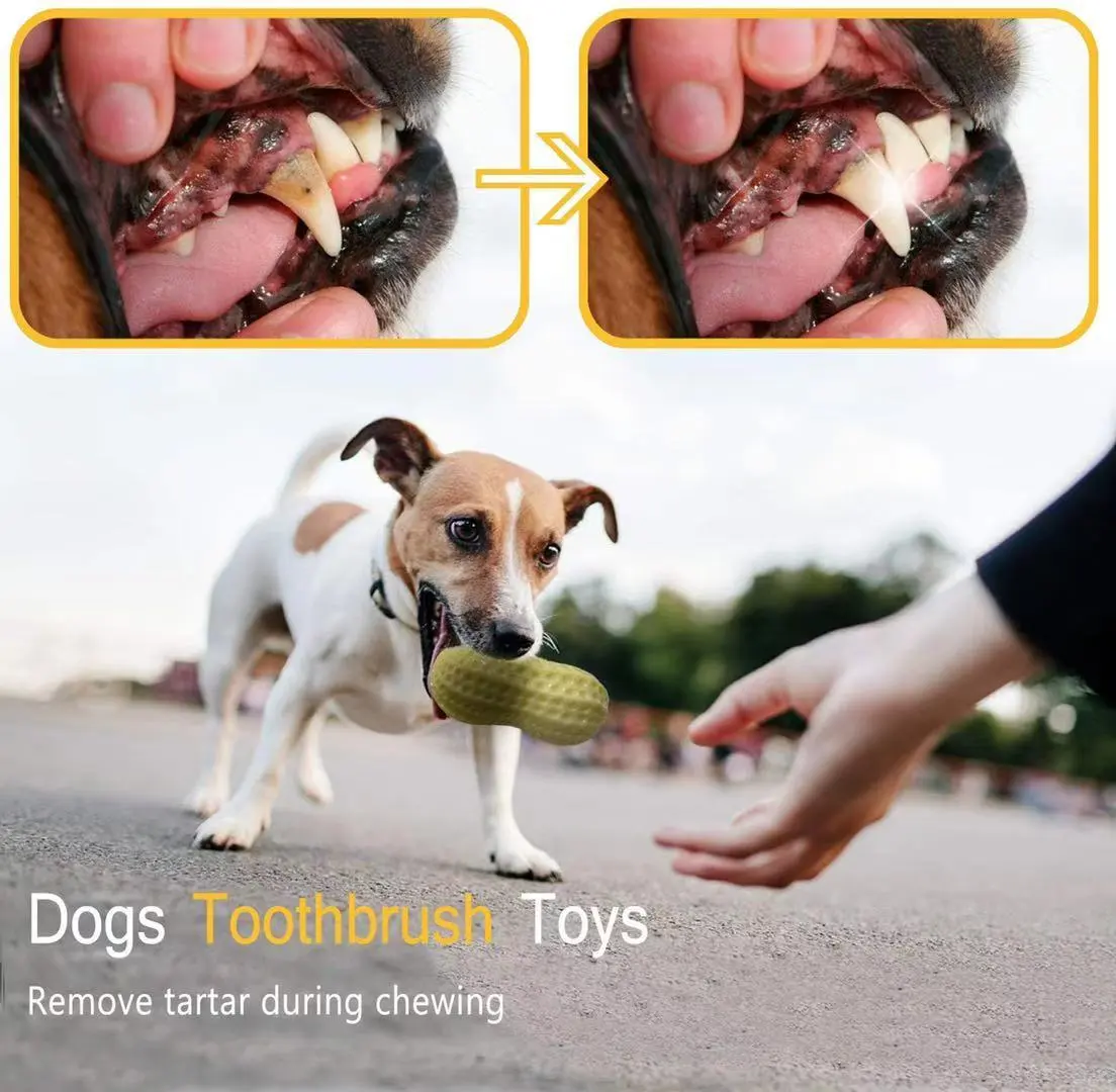 Funny Pet Dog Squeaky Toys For Small Middle Dogs Bite Resistant Puppy Cat Dogs Toys Pets Rubber Peanut Clean Tooth Chew Toy – image 7