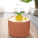 Lively Orange Drinking Fountai