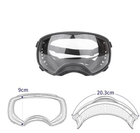 Clear goggles with black frame