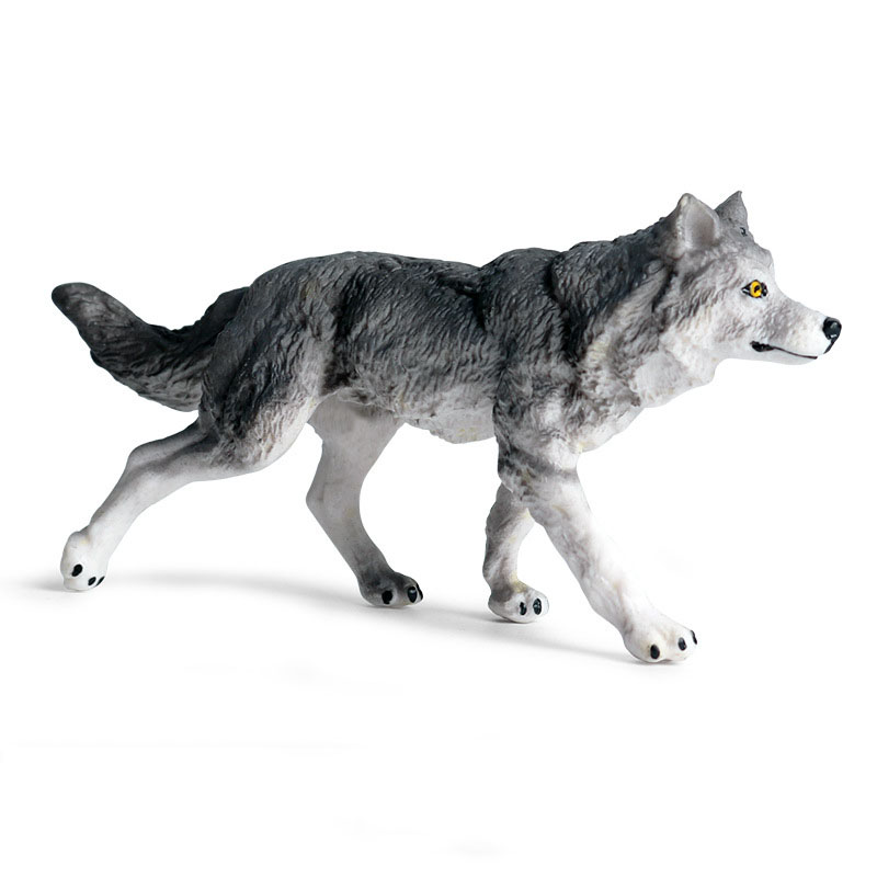 Grey wolf