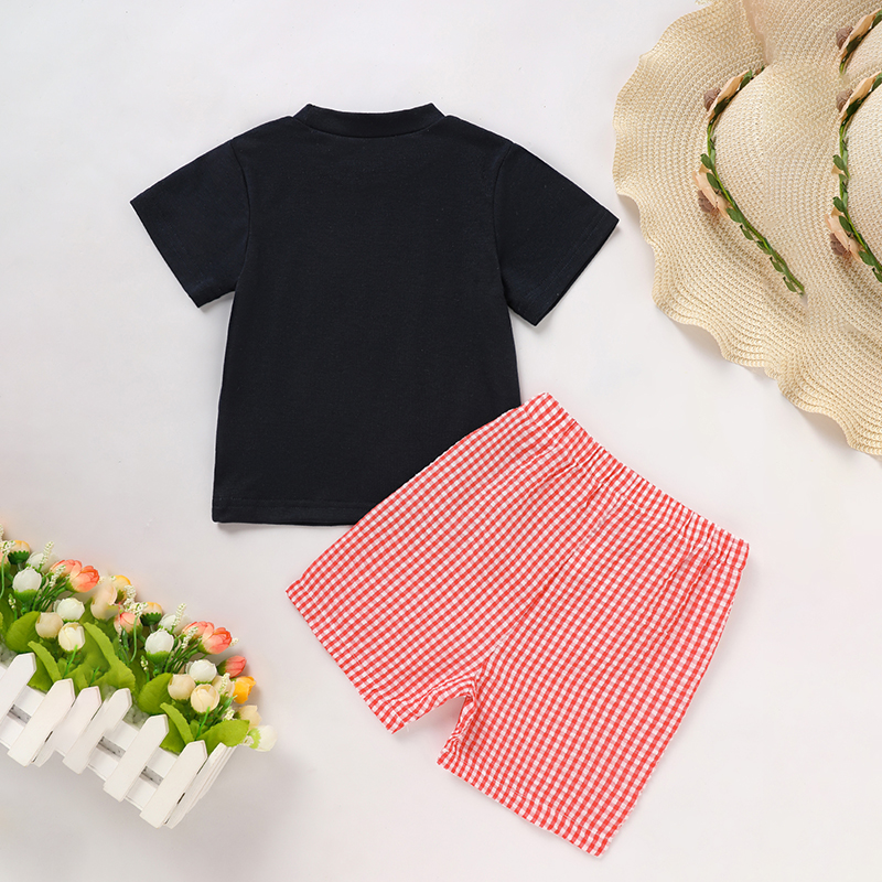 Toddler Baby Boy Back To School Outfit Summer Applique T-Shirt & Red Gingham Shorts Set — view 2