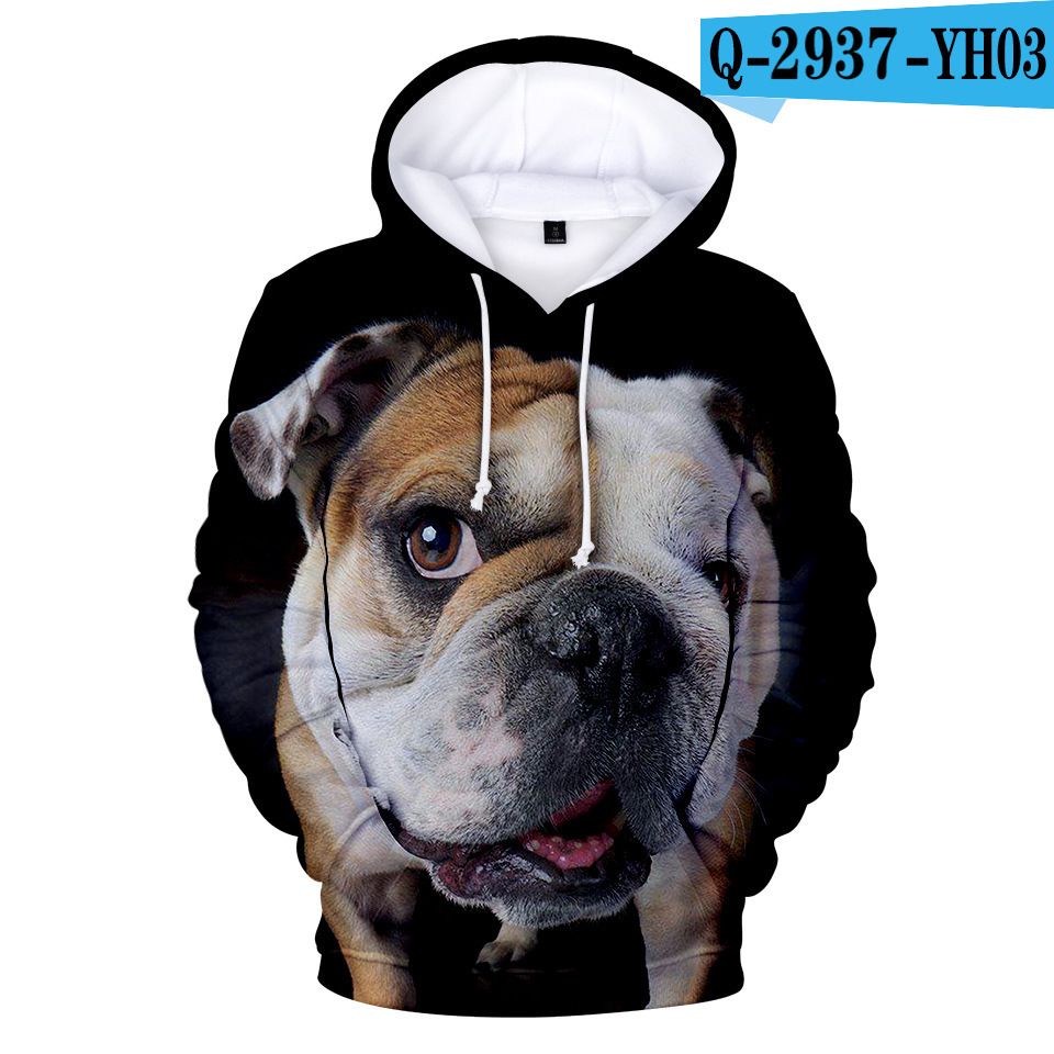 Title 3, Printed 3D Hooded Long Sleeve Sweatshirt