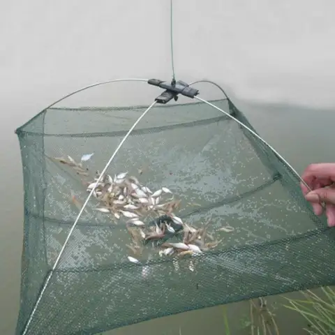 Fishing Nets