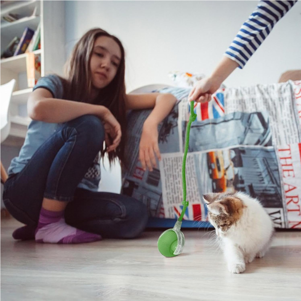 Interactive Rolling Cat Ball