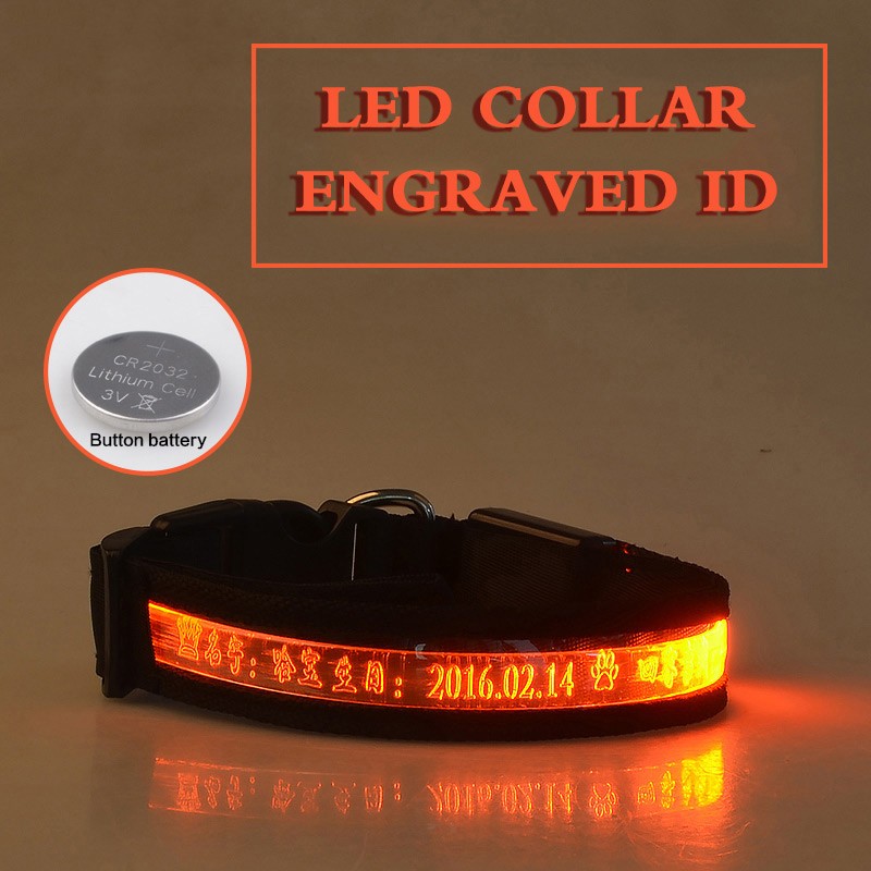 Pet Glow Collar Radium Carved Lettering Dog Collar Orange - Shop at LoveMi