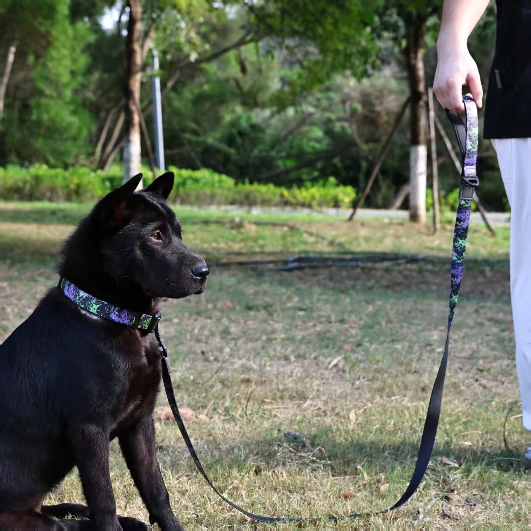 UV Printing Camouflage Embossed Pet Leash Set Is A Perfect Combination Of Style And Functionality Specially Designed For Pets' Outdoor Activities. Every Detail From Craftsmanship To Material 